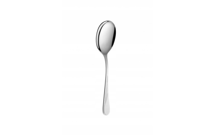 68-Piece Cutlery Set CELESTIA Matt Finish + Cutlery Canteen