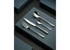 MUZA table set for 12 people: dinner plates 36 pieces + MUZA cutlery set 68 pieces gloss + suitcase MUZA table set for 12 people: dinner plates 36 pieces + MUZA cutlery set 68 pieces gloss + suitcase