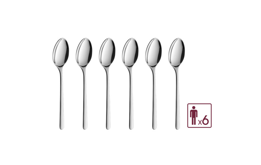 Coffee spoons 6 pieces. shiny FJORD