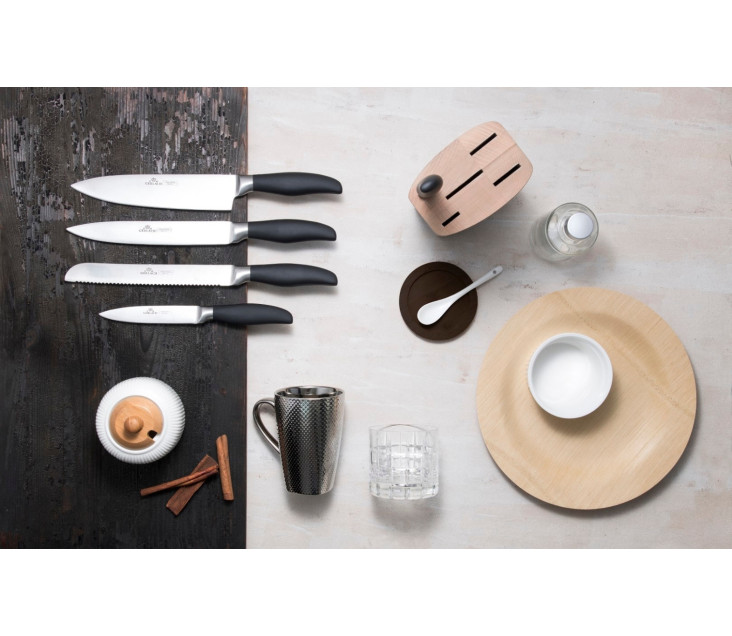 Knife set in block STYLE PLUS