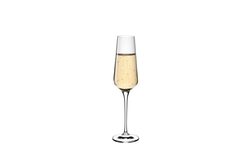 MODERN Champagne Glasses 6 pcs