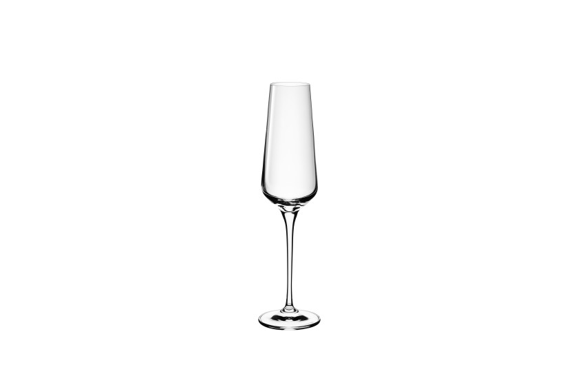 MODERN Champagne Glasses 6 pcs