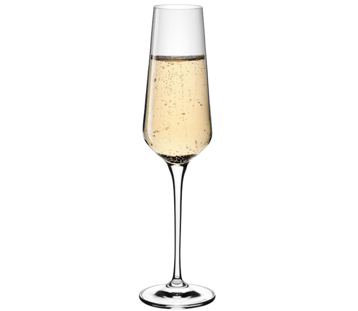 MODERN Champagne Glasses 6 pcs