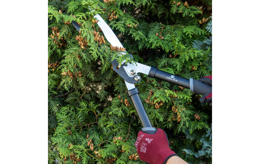 Hedge shears Hedge shears