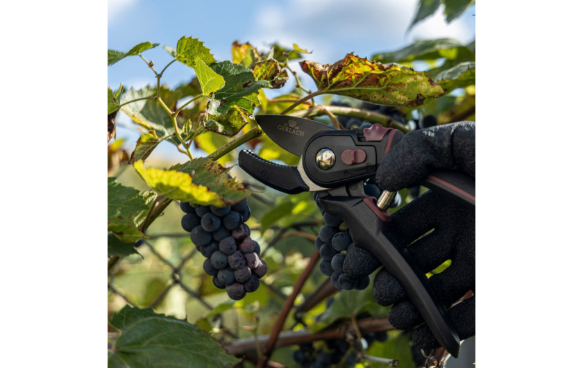 Single-handed anvil pruner Single-handed anvil pruner