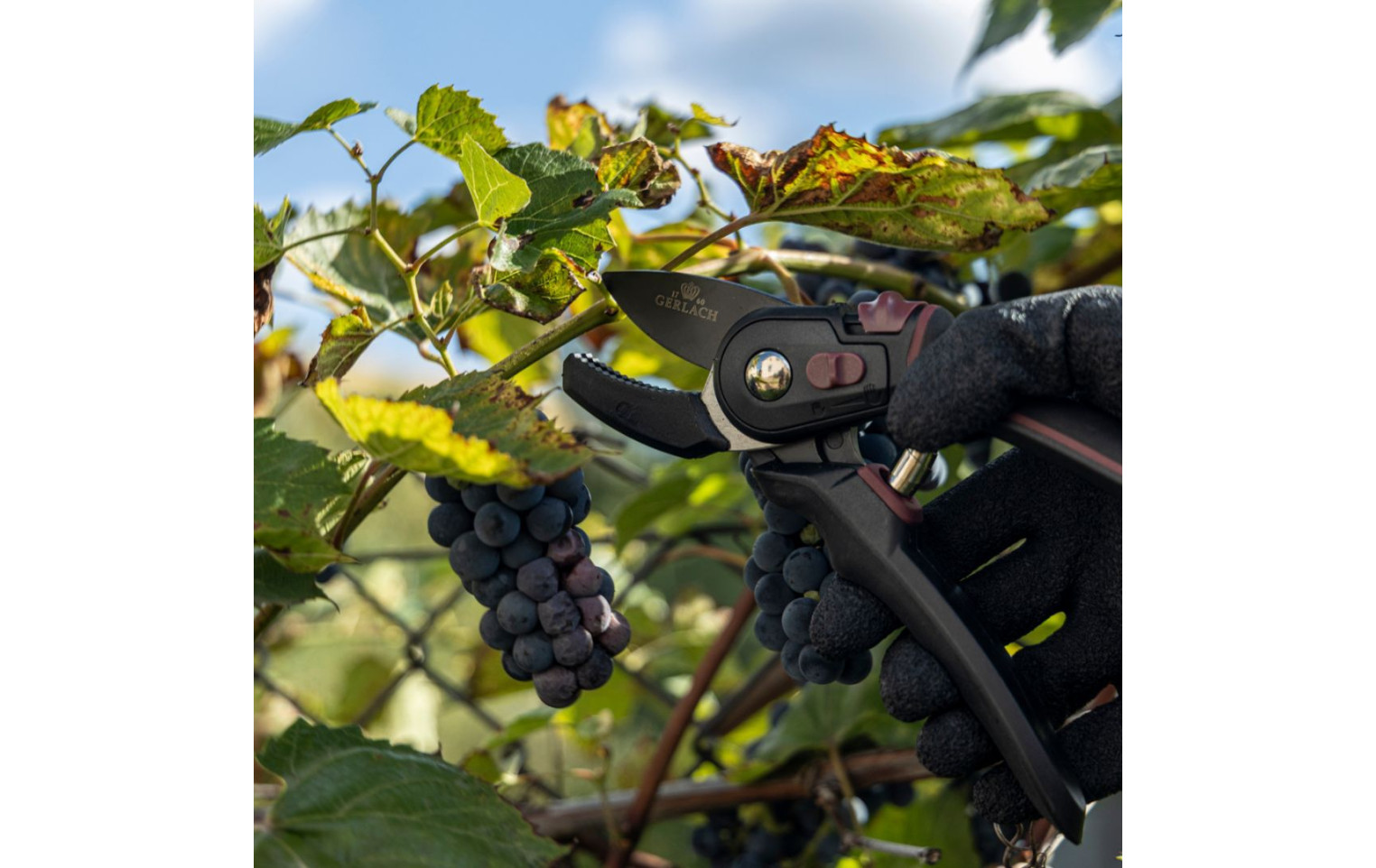 Single-handed anvil pruner